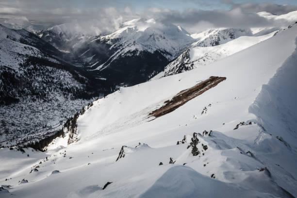 istock Avalanche remains in Tatry mountains, winter time, Poland 1295532298