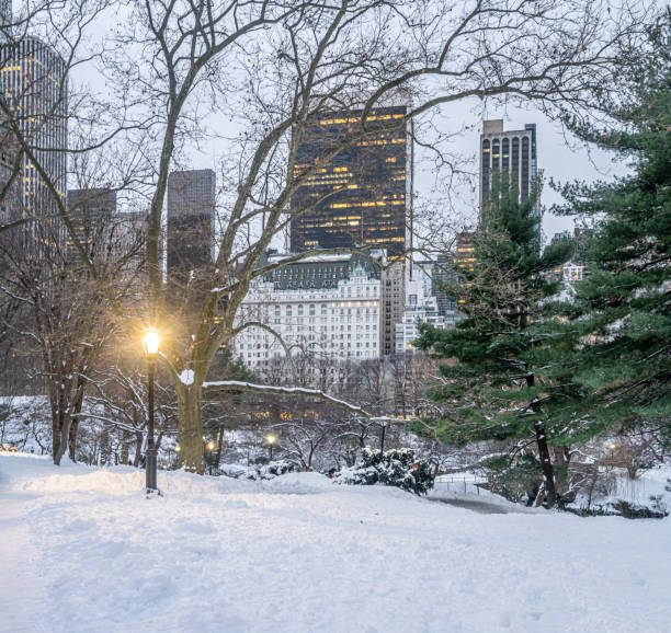 istock Central Park in winter  bow bridge 1295537834