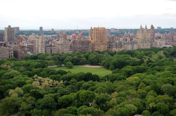 istock Central Park in New York 1295542574