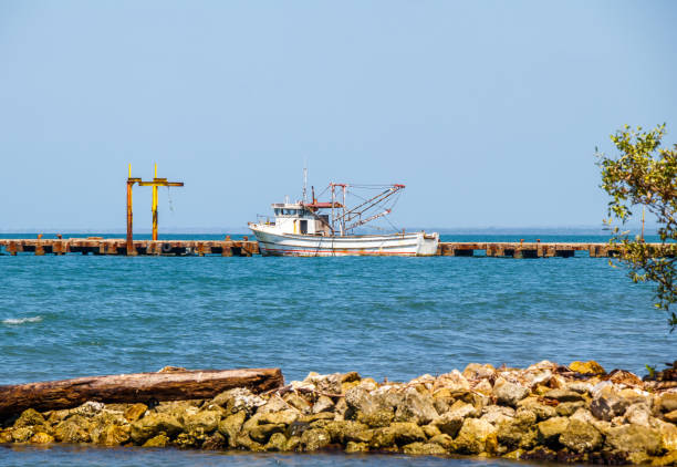 istock Fisher Boat Parked on its Dock to start Fishing 1295543418