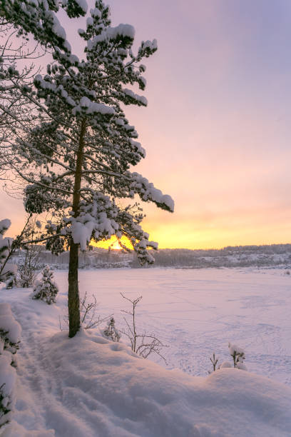 istock Winter snow nature sunset landscape. 1295545058