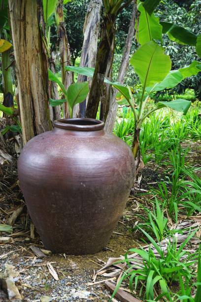istock Vintage brown stoneware pot in a natural jungle setting 1295546036