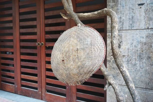 istock Broken basket hanging from a curved tree trunk with wood slat doors in the background 1295546070