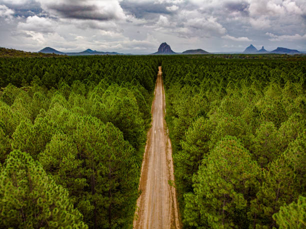 Getting Lost To Find Beautiful Paths Glass House Mountains, Queensland, Australia sunshine coast australia stock pictures, royalty-free photos & images