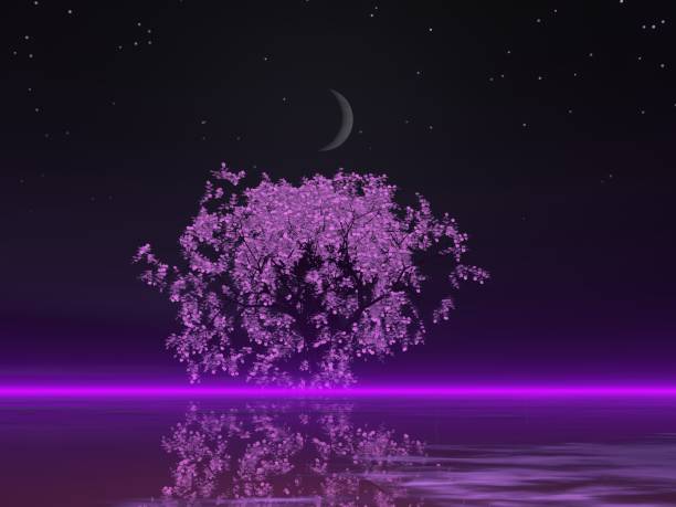 istock Fantastic landscape of Moon and Cherry Blossoms 1295554709