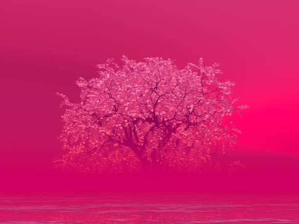 istock Fantastic landscape of Sky and Cherry Blossoms 1295554739