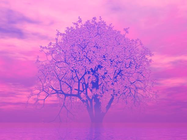 istock Fantastic landscape of Clouds and Cherry Blossoms 1295554750