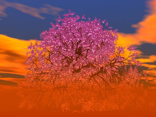 istock Fantastic landscape of Clouds and Cherry Blossoms 1295554774