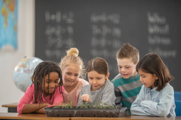 istock Look at our plants grow! 1295555627