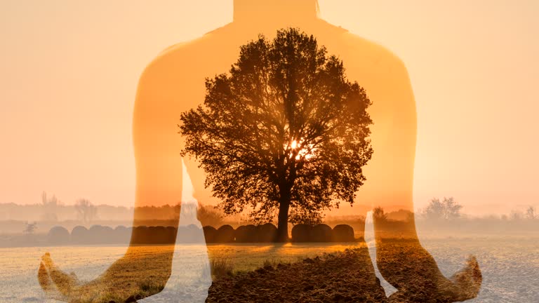 MS Woman meditating against a tree in the middle of a meadow at sunrise