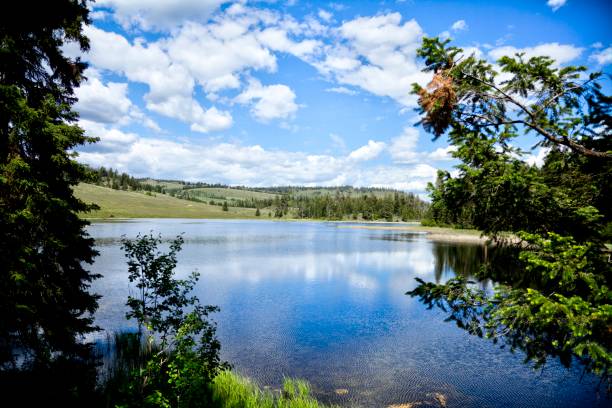 istock Upland pond and grassland in summer. 1295562696