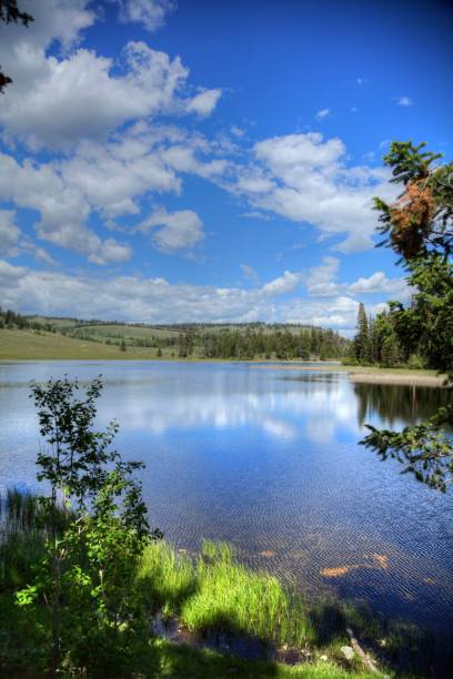 istock Upland pond and grassland in summer. 1295562703
