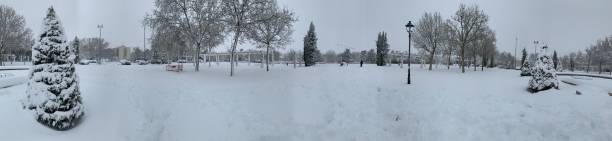 istock Panoramic of Liana park 1295563340