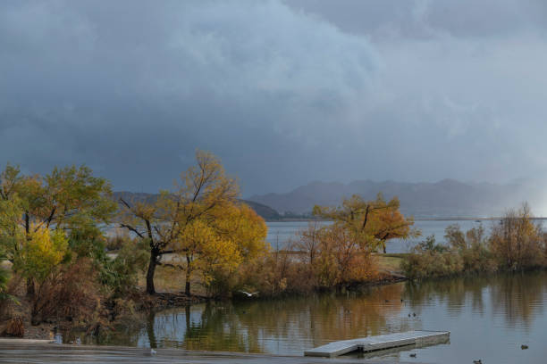 Gold colored leaves against a ominous cloudy sky and lake