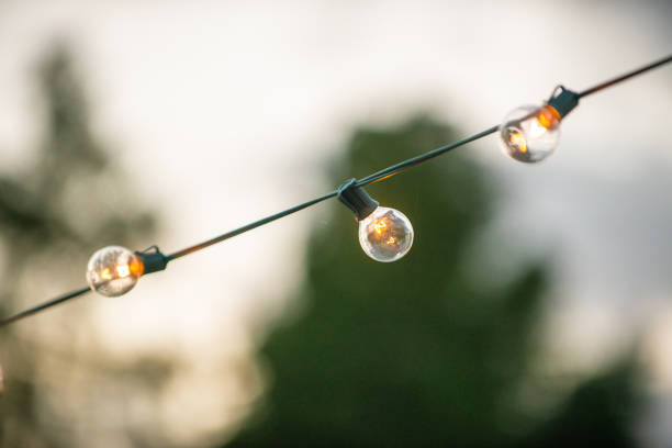 istock Three Warm ligh bulbs on a string hanging outside on green wire 1295565301
