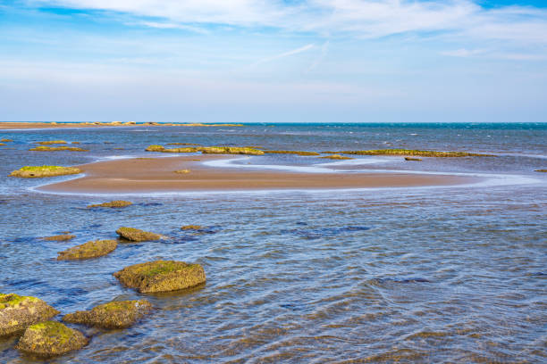 istock Low tide at sea. Climate change 1295566891