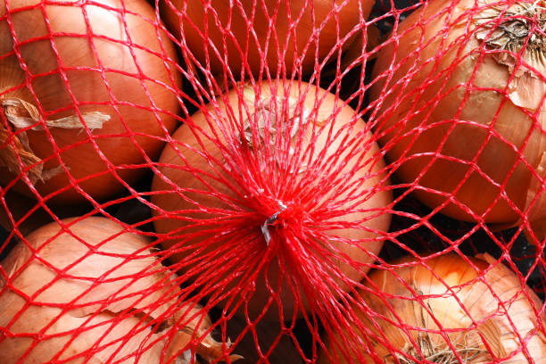 gros oignons jaunes - onion bag netting vegetable photos et images de collection