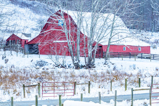 istock Red barn contrasting against winter landscape 1295572817