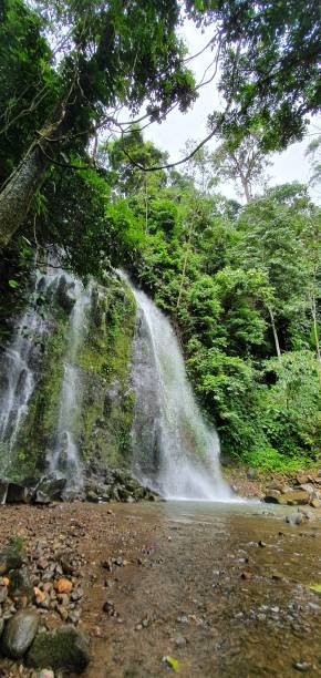 istock Beauty in Nature 1295572895