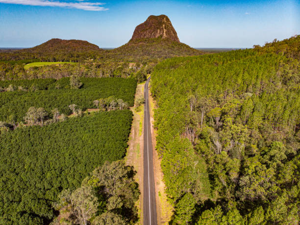 istock Glass House Mountains Landscape 1295573755