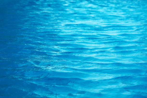 istock water is so clear that you can see sand and shells in the water 1295573883