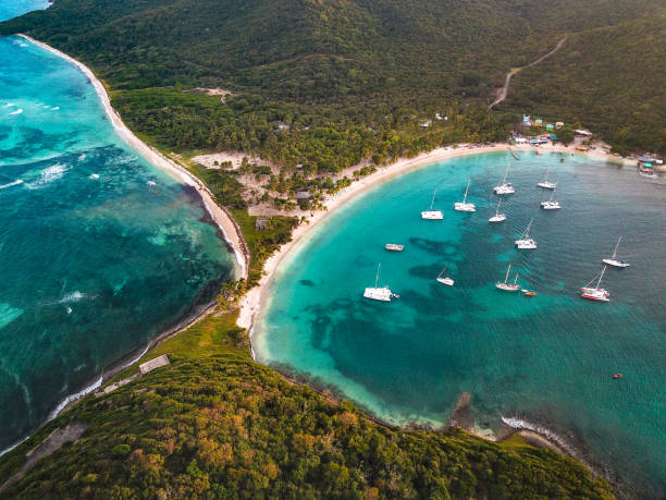 Tropical Getaway Salt Whistle Bay, Mayreau, St. Vincent & Grenadines
Mayreau Island is only accessible by boat. flag of saint vincent and the grenadines stock pictures, royalty-free photos & images