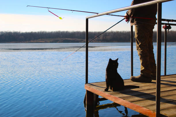chat noir regarde en arrière se trouve près de la silhouette d’un pêcheur, la pêche sur la rivière, le ciel bleu, les arbres à l’horizon, pas de visage, journée ensoleillée - pets water lake sky photos et images de collection