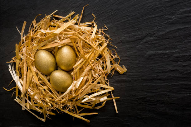 istock Three golden eggs in the grassy nest on black slate background with copyspace 1295580423