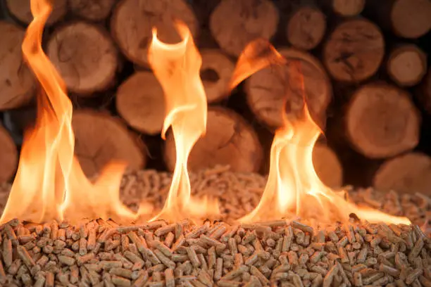 Pile of coniferous pellets in flames - wooden biomass