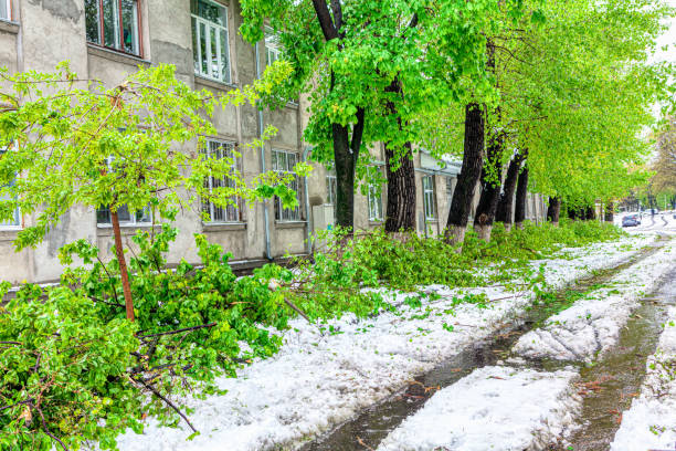 istock Snowstorm with broken branches in the city 1295582605