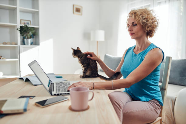 istock Woman working from home on a laptop / notebook with cat pet with her. 1295585557