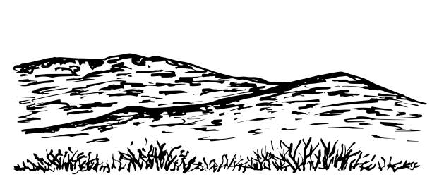 krajobraz górski, pustynny teren, pustynia. wzgórza, suche rośliny, trawa. ręcznie rysowany rysunek atramentem wektorowym. do odbitek, pocztówek, podróży, turystyki. przyroda, panorama. - dry landscape panoramic grass stock illustrations