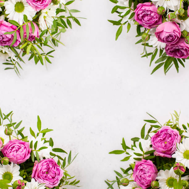 istock Frame with pink and white flowers. White background. Flat lay, square format. Top view, copy space. 1295591700