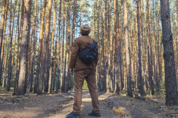 a man stands on a forest road with a backpack and a hat with his back to us and looks up. traveler in the woods