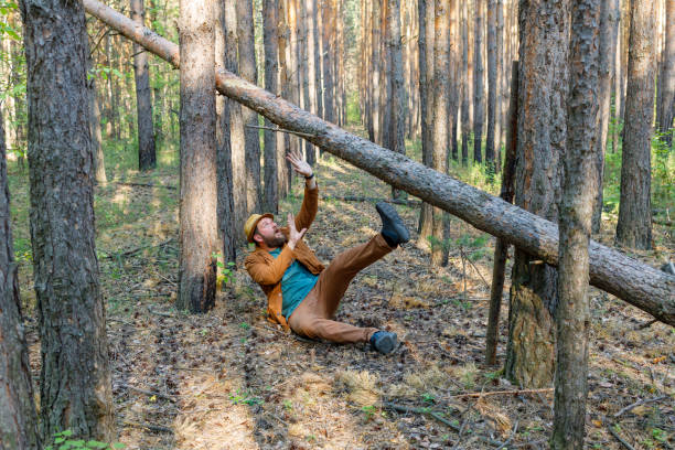 istock a bearded man in a hat in the forest a tree falls on him, he shouts and put his hand forward made a frightened face 1295594126