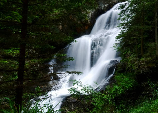 istock large soft flowing waterfall in the green forest 1295594159