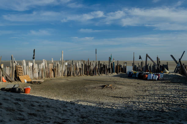 a shelter of washed-up material