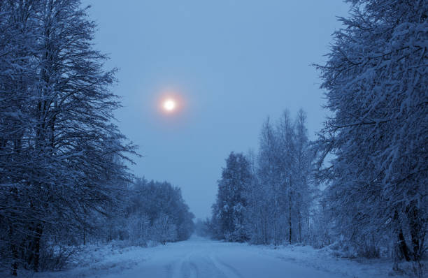 istock winter night   snowy   landscape  with trees 1295595408