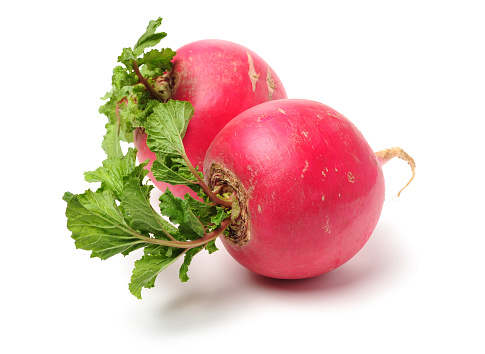 The beetroot is the taproot portion of a beet plant, usually known in North America as beets while the vegetable is referred to as beetroot in British English, and also known as the table beet, garden beet, red beet, dinner beet or golden beet.