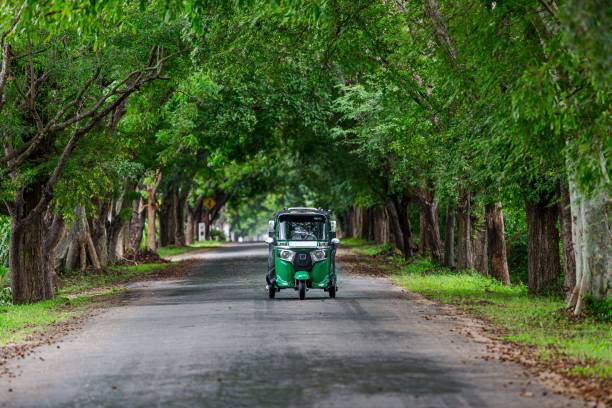 istock Tuk-tuk driving on a road between green trees 1295597343