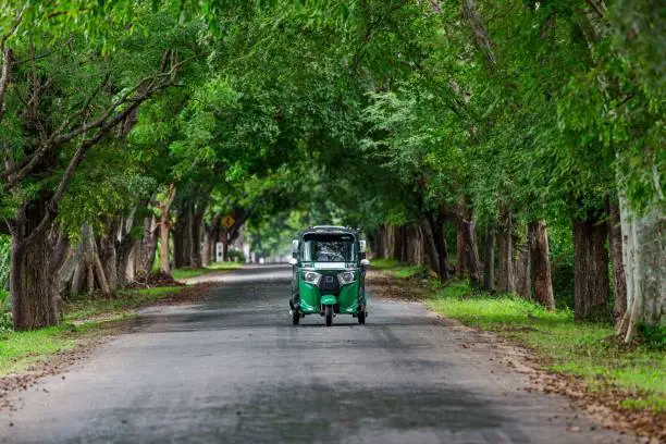 Tuk-tuk driving on a road between green trees