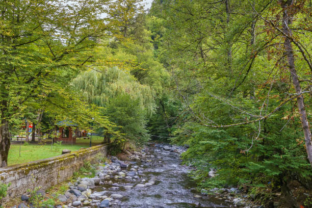 istock Borjomula river in Borjomi, Georgia 1295598316