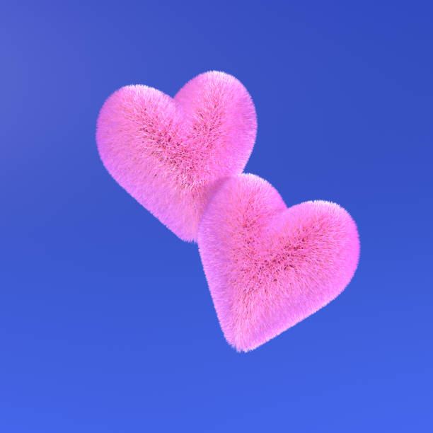 3d render of two fluffy pink hearts on blue background. Design concept of Valentine's Day. Minimalistic style. 3d render of two fluffy pink hearts on blue background. Design concept of Valentine's Day. Minimalistic style. heart shape valentines day fur pink stock pictures, royalty-free photos & images