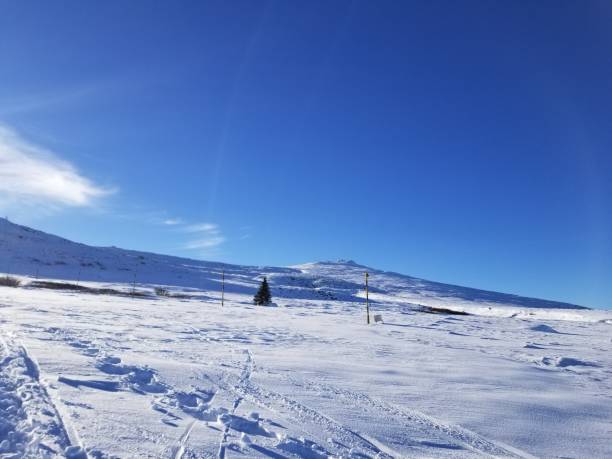 istock Vitosha mountain in winter time 1295599918