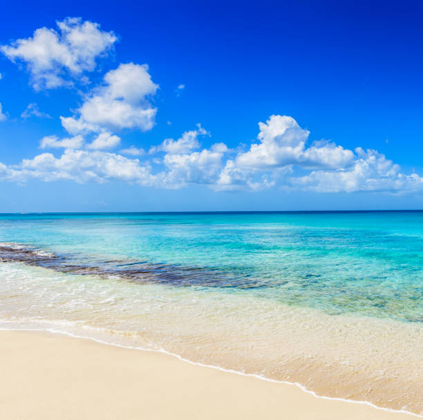 istock Beautiful Tropical Beach with White Clouds Over the Horizon 1295601844