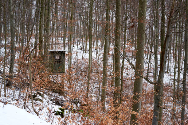 istock High Seat in winter forest 1295603888