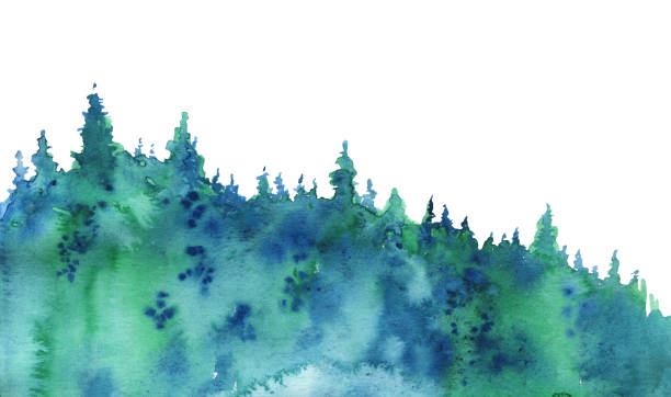 istock Spruce forest. Hand drawn watercolor sketch illustration. Isolated on white background 1295606230