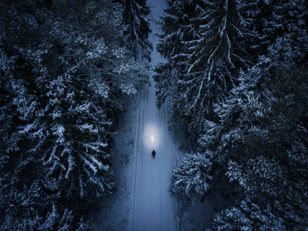 homme seul marchant par la forêt pendant la nuit d’hiver - aerial view landscape scenics snow photos et images de collection