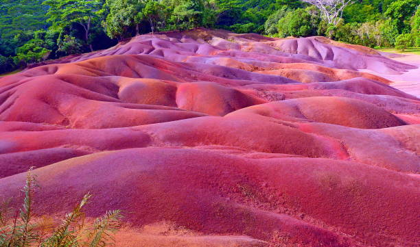 モーリシャス島の超現実的な7色の地球地質地層形成多色溶岩。珍しい自然現象、ユニークなジオパーク。 - earths ストックフォトと画像