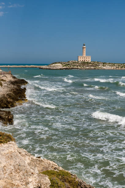 istock Vieste Puglia sea and town 1295610861
